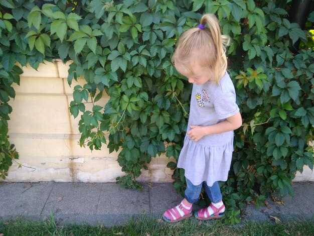 Использование туалетной бумаги и ее роль