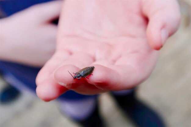 Мифы о ВИЧ и комарах: что нужно знать