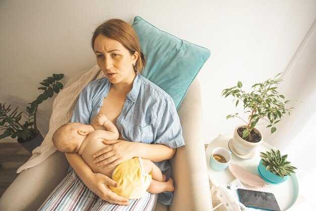 Состав грибов: полезные и опасные вещества