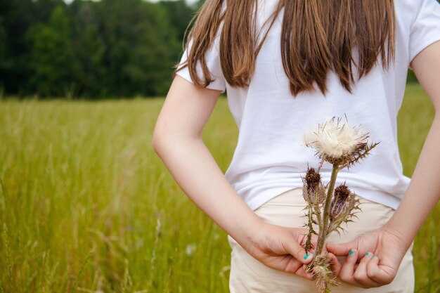 Рекомендации врачей по поводу использования трав в период беременности