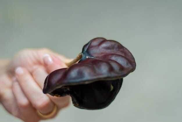 Возможные методы удаления желчного пузыря