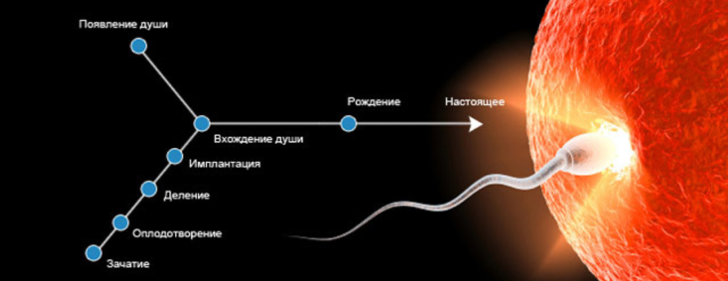 Момент оплодотворения. Момент зачатия. Зачатие у человека. Ключевые моменты развития РПТ. Схема РПТ.