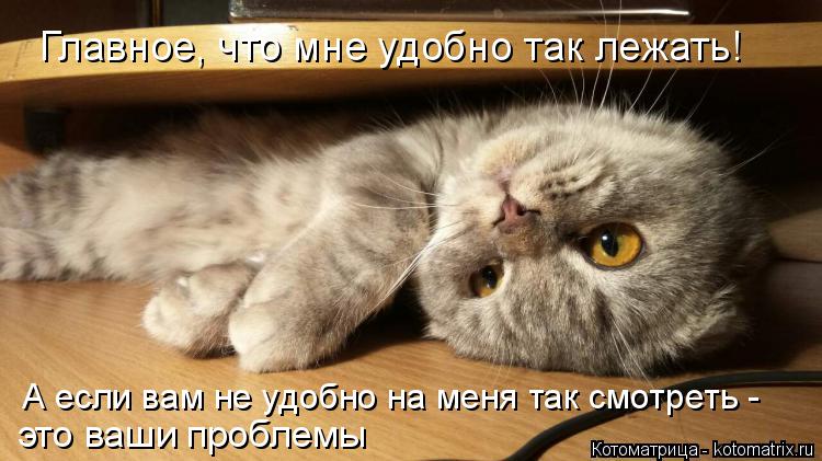 Тут удобно. Тебе так удобно лежать. Мне удобно. Мем тебе так удобно лежать. Тебе удобно так лежать но если лежу значит удобно.